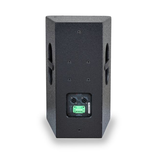 Diffusore passivo a 2 vie 10"