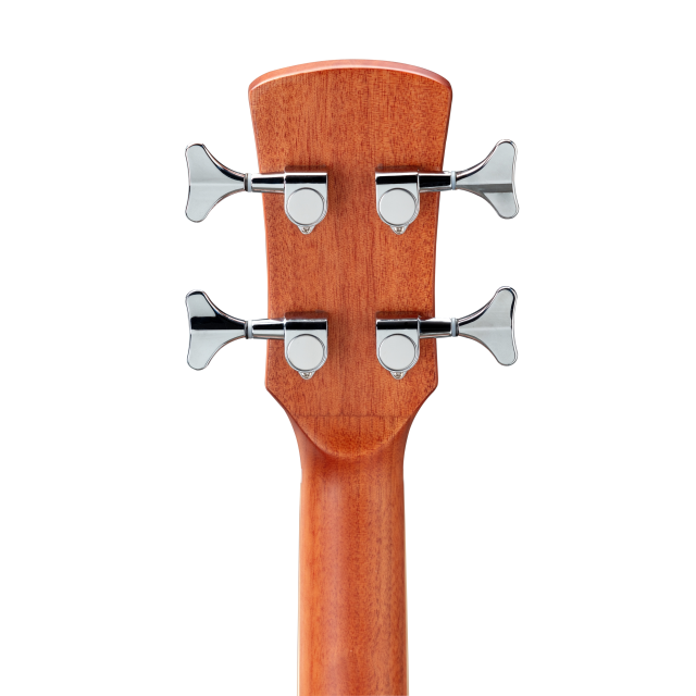 Cutaway acoustic bass with preamp