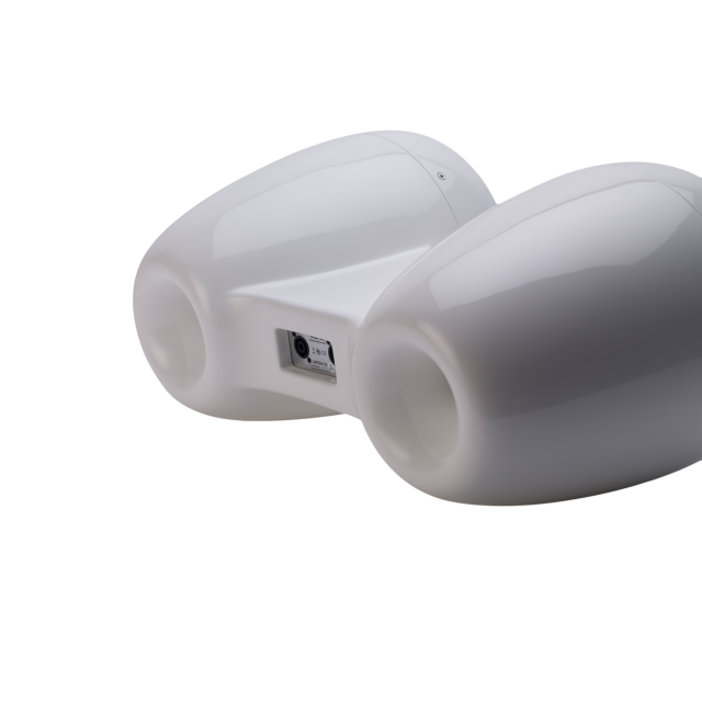 Passive coaxial loudspeaker with double 10" drivers (white)