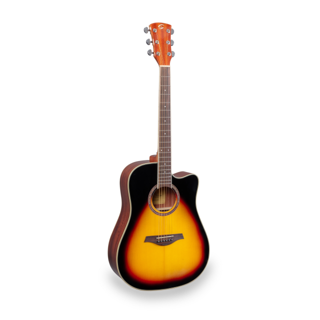 Cutaway acoustic guitar with preamp