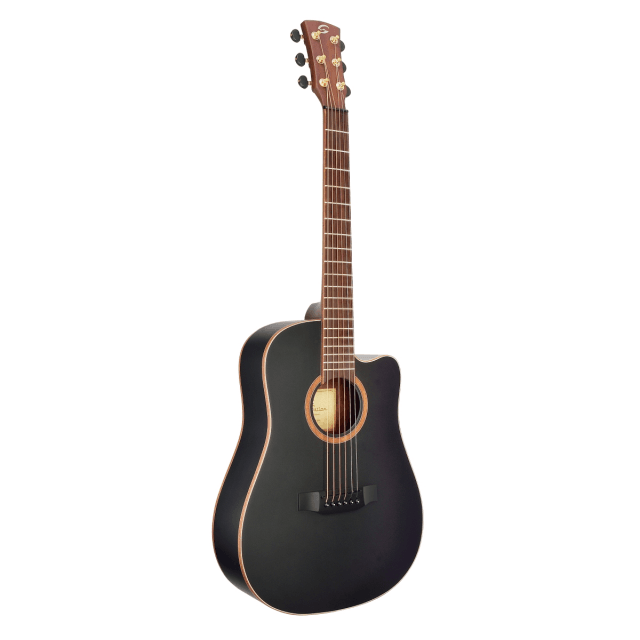 SHADOW series cutaway acoustic guitar with soundhole Fishman preamp (compact size)