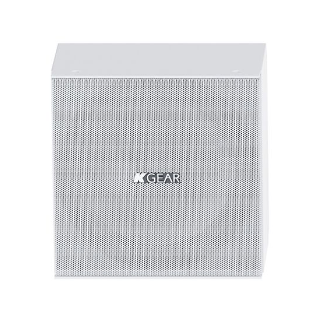 Ultra-compact 8" full-range passive speaker (white)