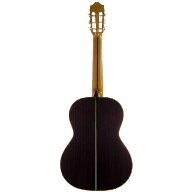 Concert classical guitar