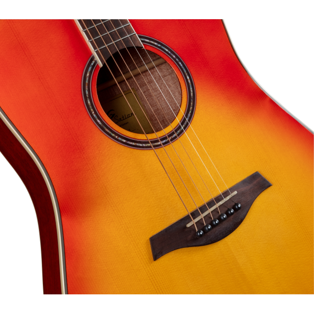 Cutaway acoustic guitar with preamp