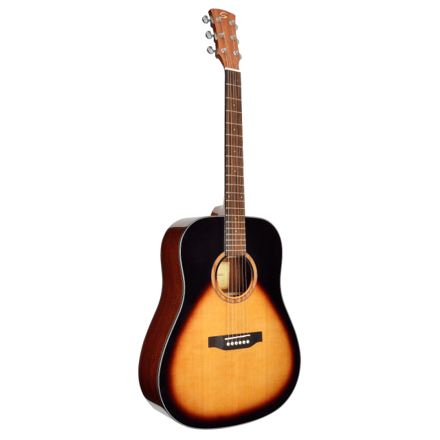 Chitarra acustica Dreadnought con finitura lucida