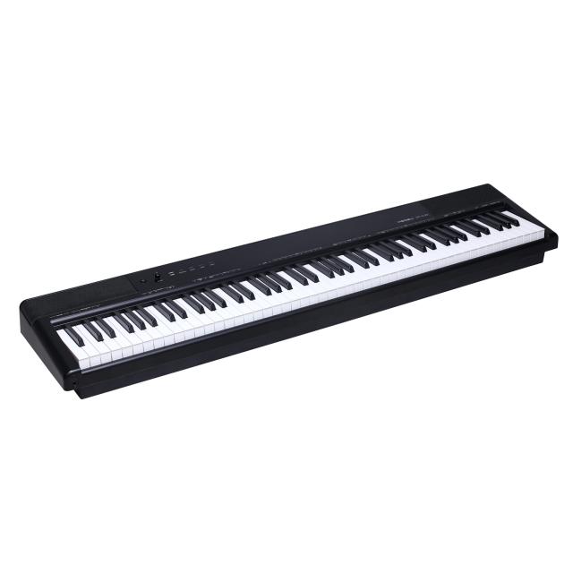 Digital Piano with 88 graded  hammer action keys