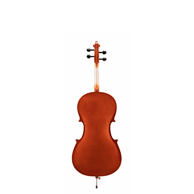 1/4 Cello with solid spruce top