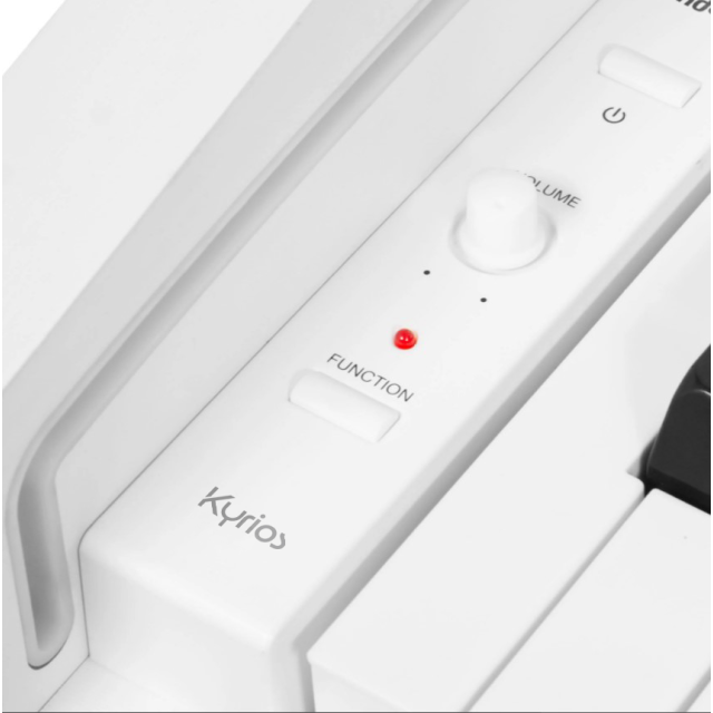 Home Digital Piano with hammer action keys