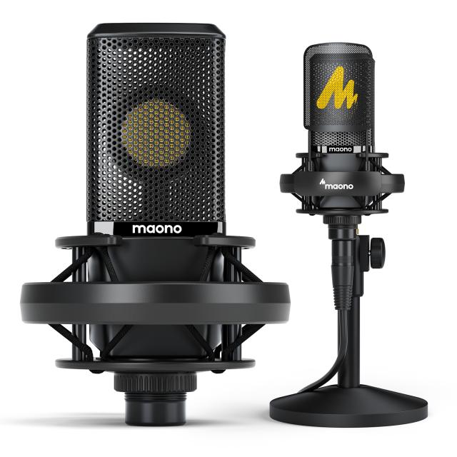 Professional large Diaphgram Microphone AU-PM500