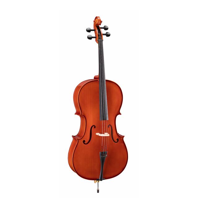Violoncello 3/4 con tavola in abete massello