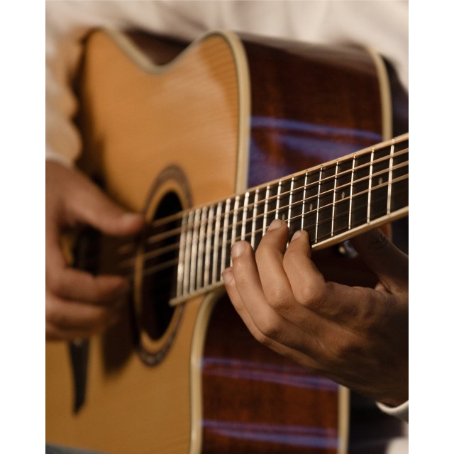 Cutaway acoustic guitar with preamp