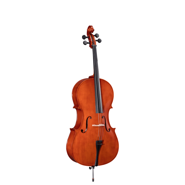 1/2 Virtuoso Primo cello with bags and bow