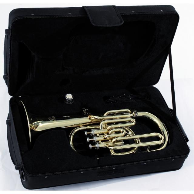 Flicorno Alto in Mib