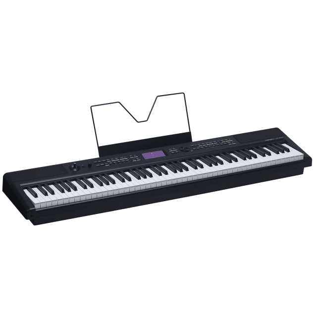 Professional stage piano