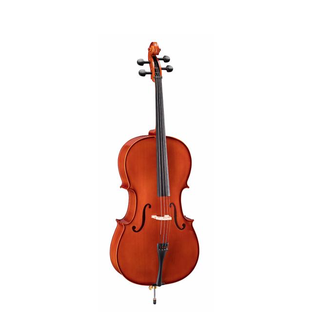 Violoncello 1/2con tavola in abete massello