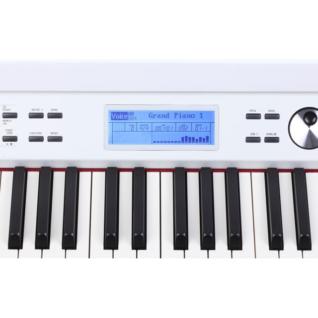 Mini Grand Digital Piano with white polish finishing and 88 Graded Hammer-Action Keys with Triple Sensor
