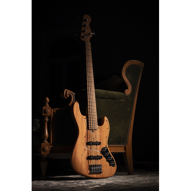 Electric bass with roasted maple freboard and neck (5 strings)