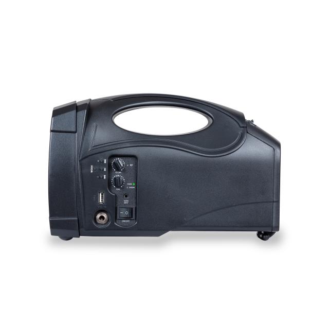 Personal PA System with UHF Wireless Microphone
