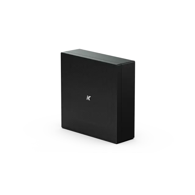Subwoofer Passivo Ultrasottile da 10" per Ambienti di Architettura, 8 Ohm