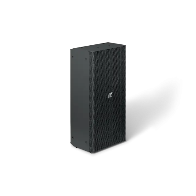 2x6"+2" Full Range Passive Point Source Speaker with Selectable Impedance (black color)