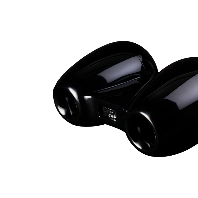Passive coaxial loudspeaker with double 10" drivers (black)