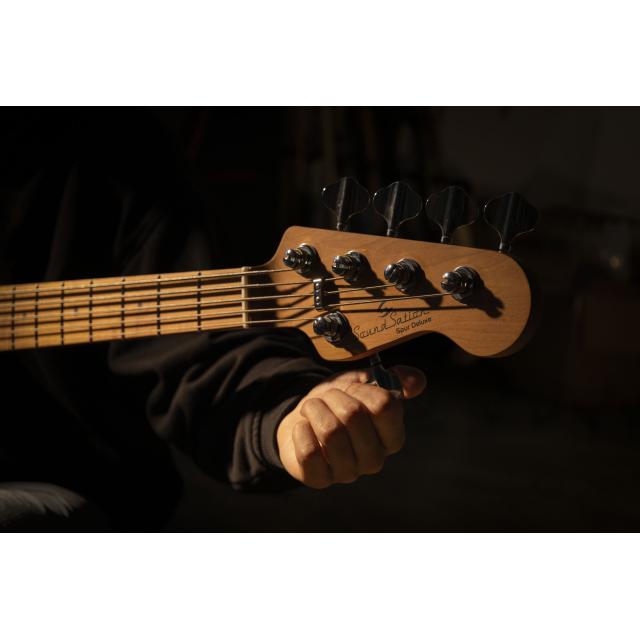 Electric bass with flamed top, roasted maple freboard and neck (5 strings)