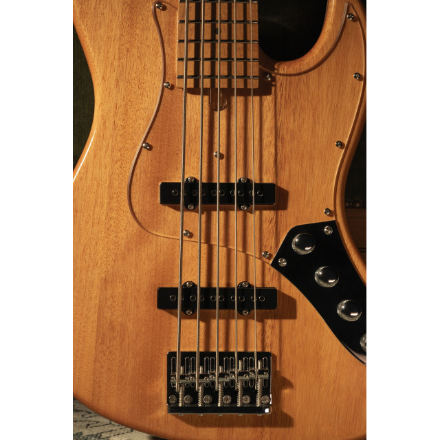 Electric bass with roasted maple freboard and neck (5 strings)