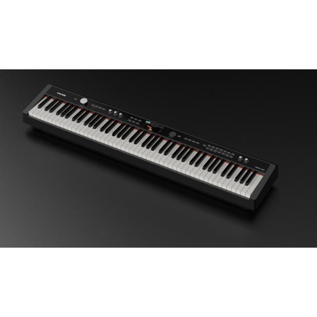Portable digital piano (black finish)