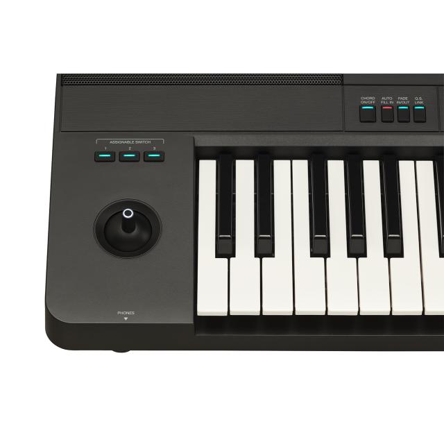 Tastiera Arranger/Workstation a 61 tasti con sensibiltà al tocco.